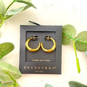 14k gold dipped small chunky hooped earring